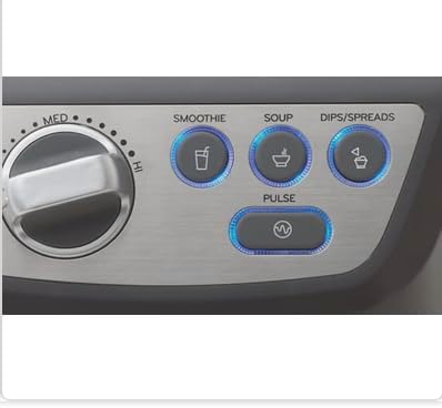 Princess House VIDA SANA ELECTRICS High-Power Blender 4571