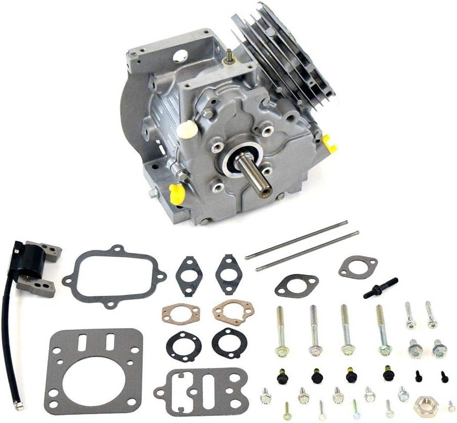 Briggs & Stratton 699582 Snowblower Short Block Genuine Original Equipment Manufacturer (OEM) Part