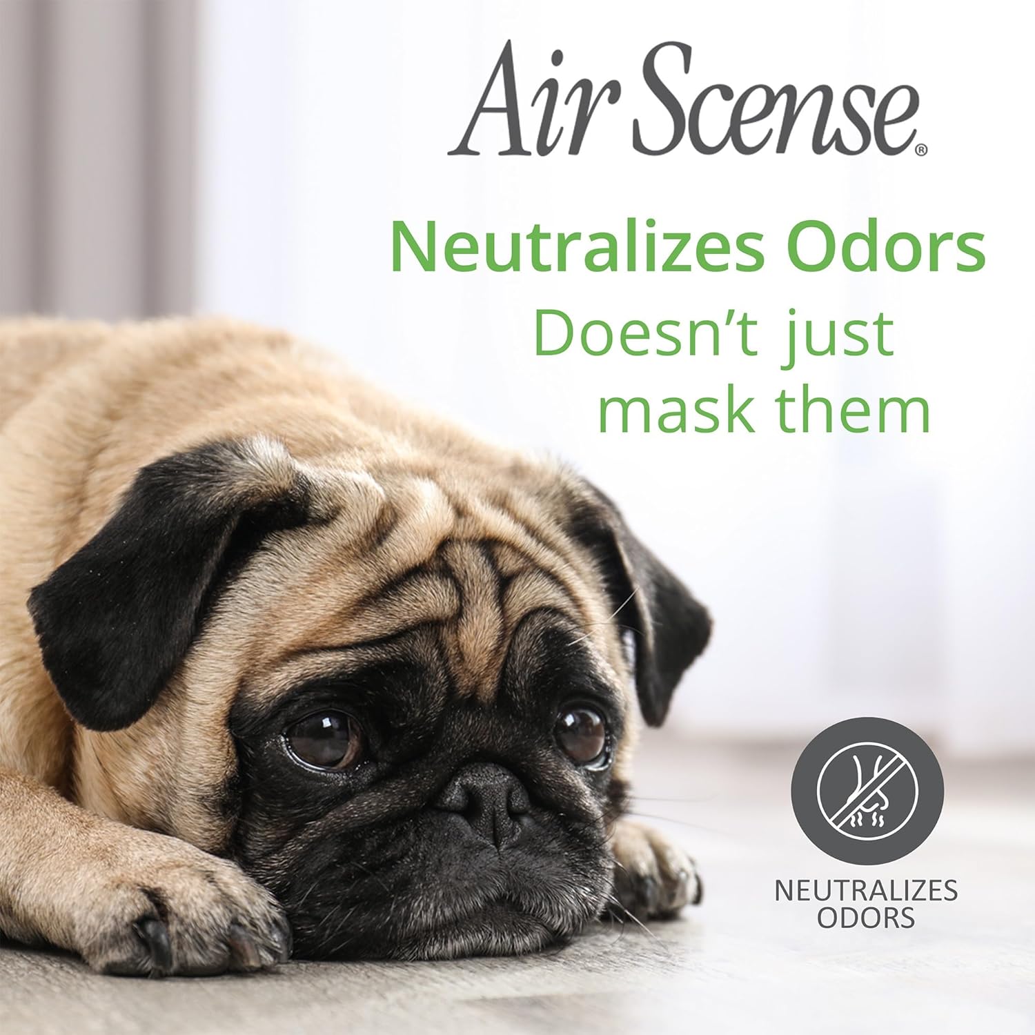 Air Scense Essential Oil Air Freshener - Vanilla Scent - Non-Aerosol - 7 fl oz | Refreshing, Long-Lasting Scent | Eco-Friendly | Exceptional Value Single Can