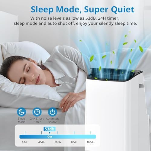 Acekool 14000 BTUs Portable Air Conditioner for Room Up 750 Sq. Ft. 3-in-1 Quiet Portable AC Unit with Dehumidifier & Fan Function, Remote Control, Sleep Mode, 24H Timer, Black Cover