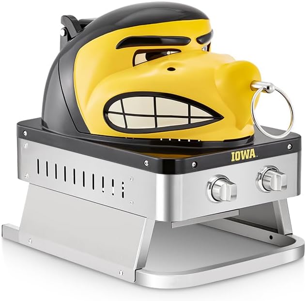 Hawkeye Portable Propane Gas Grill, 16,000 BTU Tabletop Barbecue Grill with 2 Burners, Dual Temperature Control Ideal for Tailgating, RV, Backyard BBQ, Camping, and Outdoor Cooking