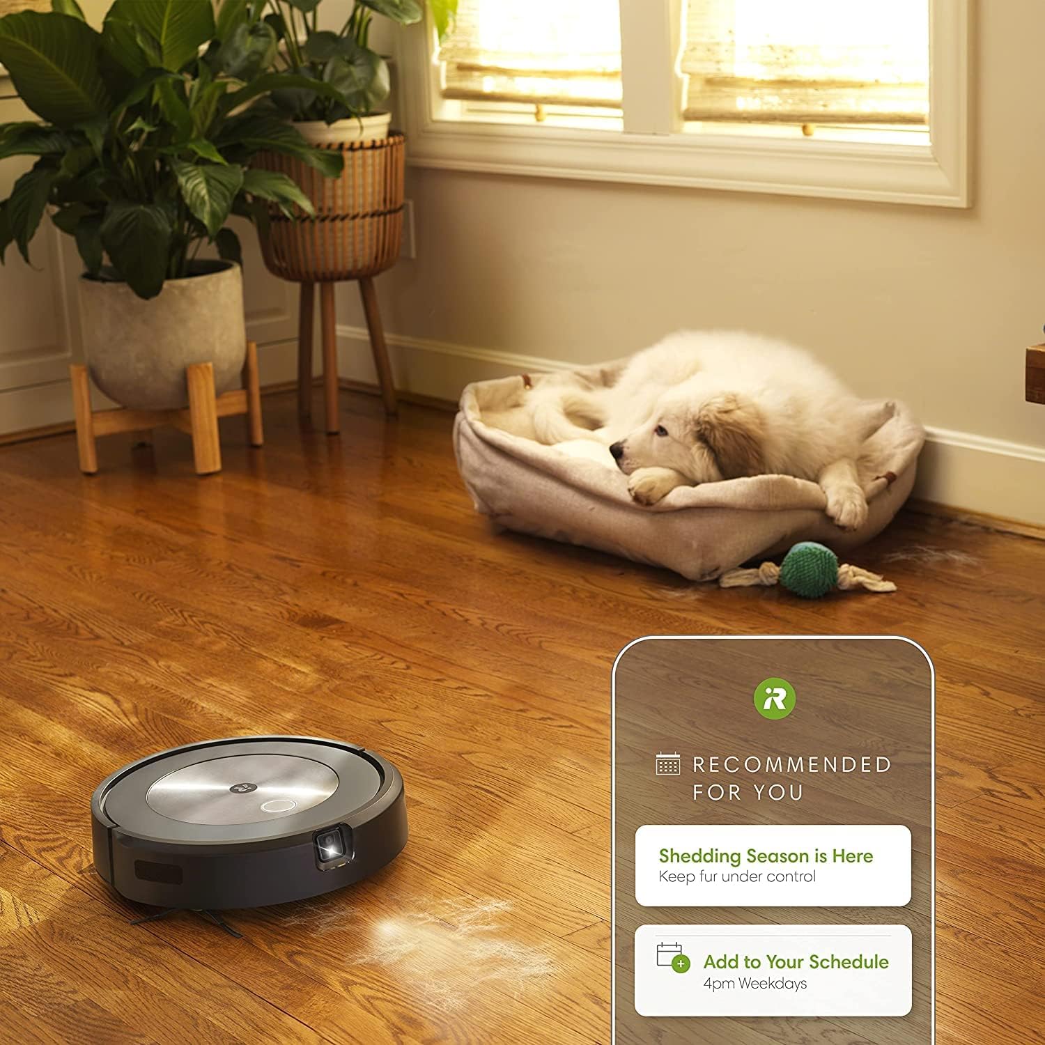 iRobot Roomba j7+ (7550) Self-Emptying Robot Vacuum Bundle – Identifies and Avoids Obstacles with Onboard Camera Like Pet Waste & Cords + Authentic Side Brush