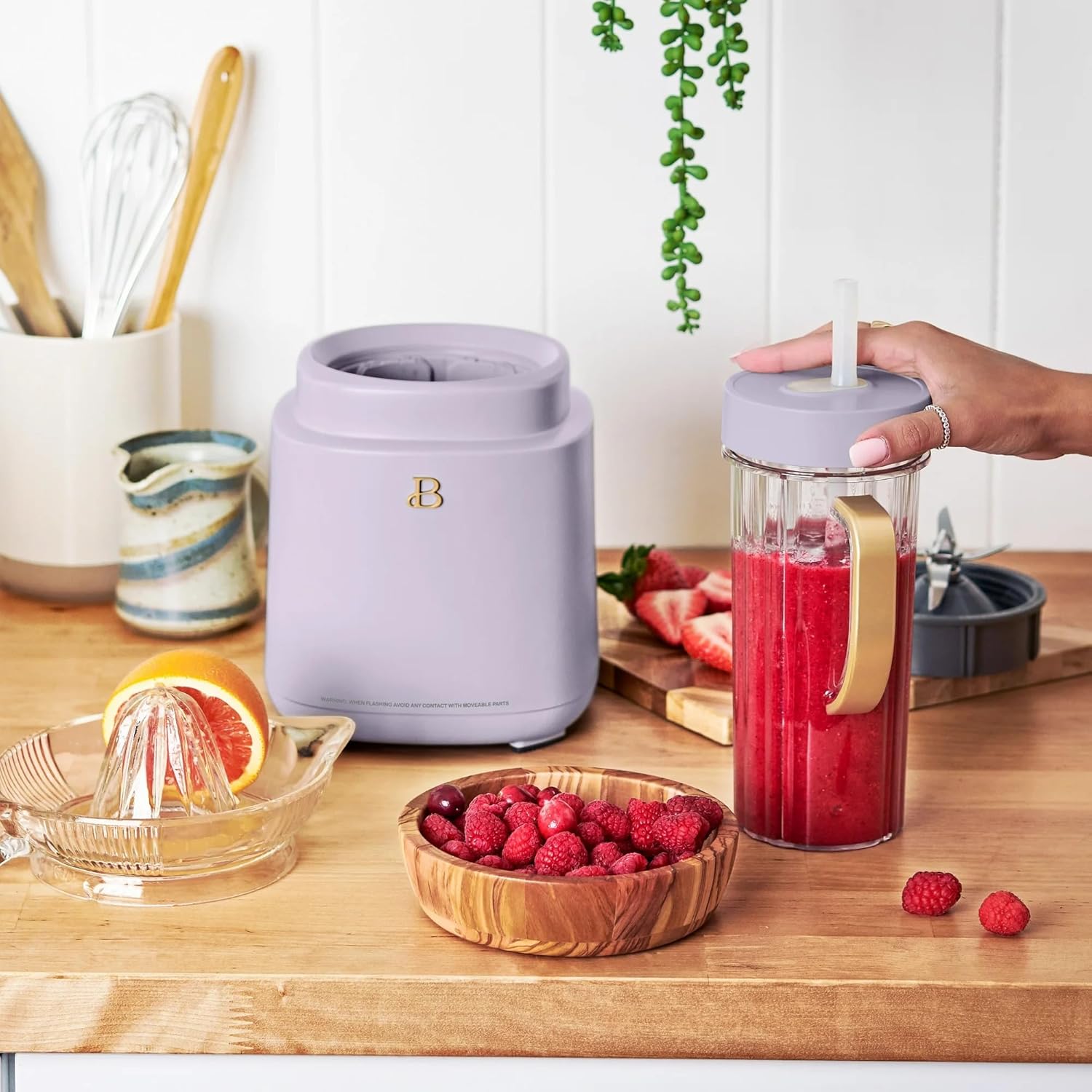 Beautiful PowerExact Blender System, Lavender