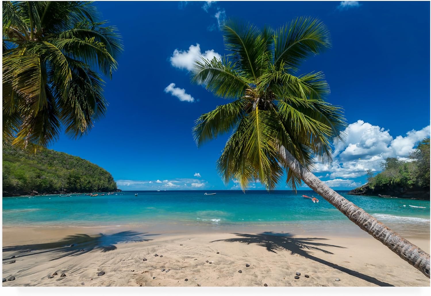 Trademark Fine Art ' Martinique ' Outdoor Canvas by Mathieu Rivrin