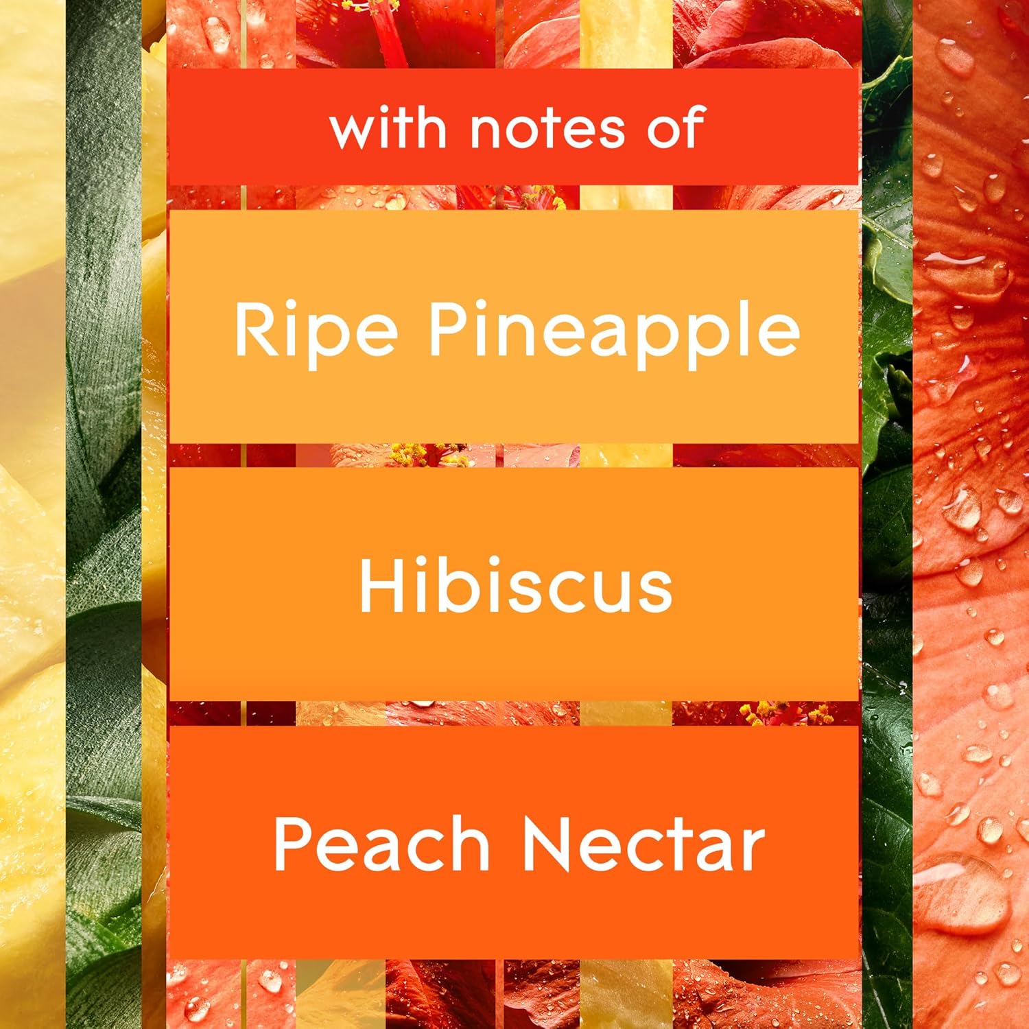 Glade Automatic Spray Refill and Holder Kit, Air Freshener for Home and Bathroom, Hawaiian Breeze, 6.2 Oz