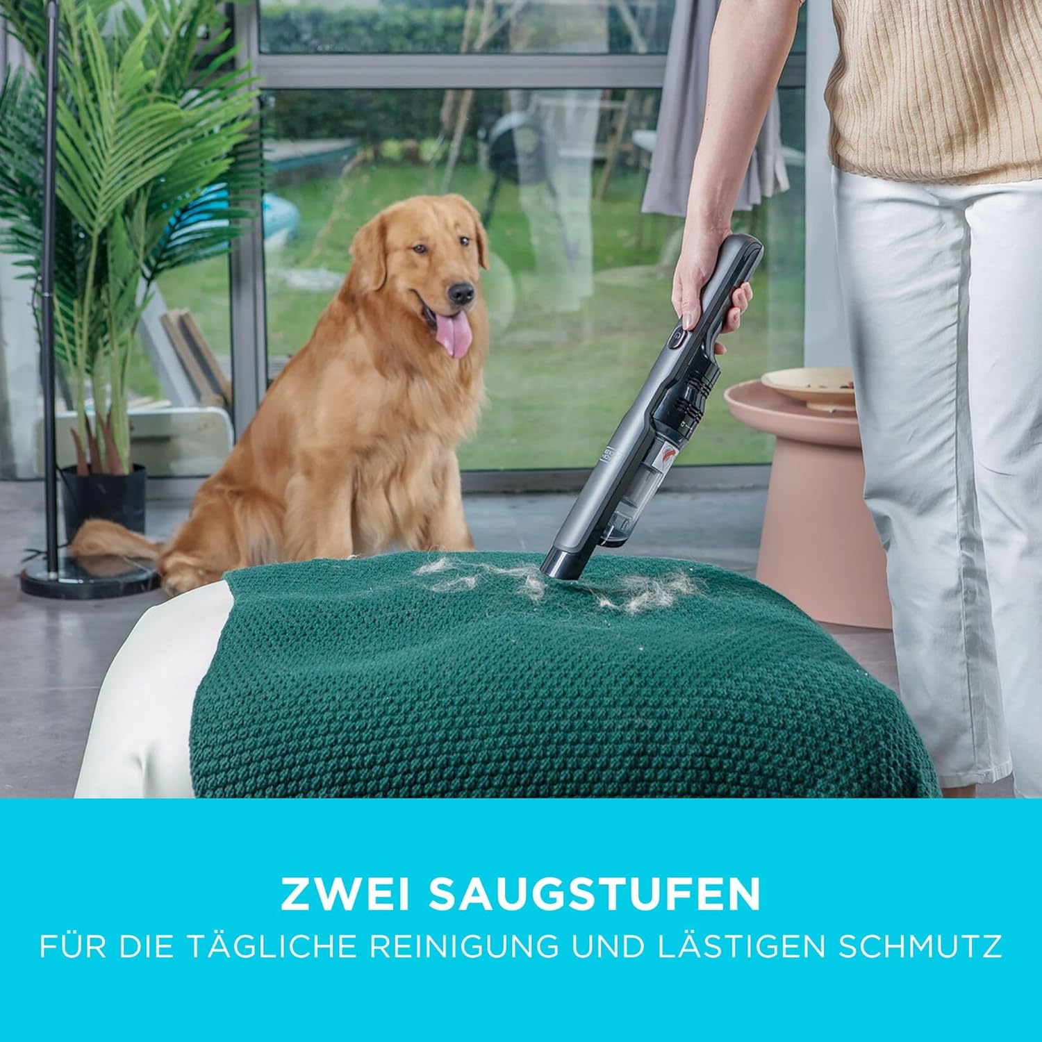 Aspirador de mano fino color pig brushless con accesorios. Potencia 12V y batería 2Ah Litio con cargador base