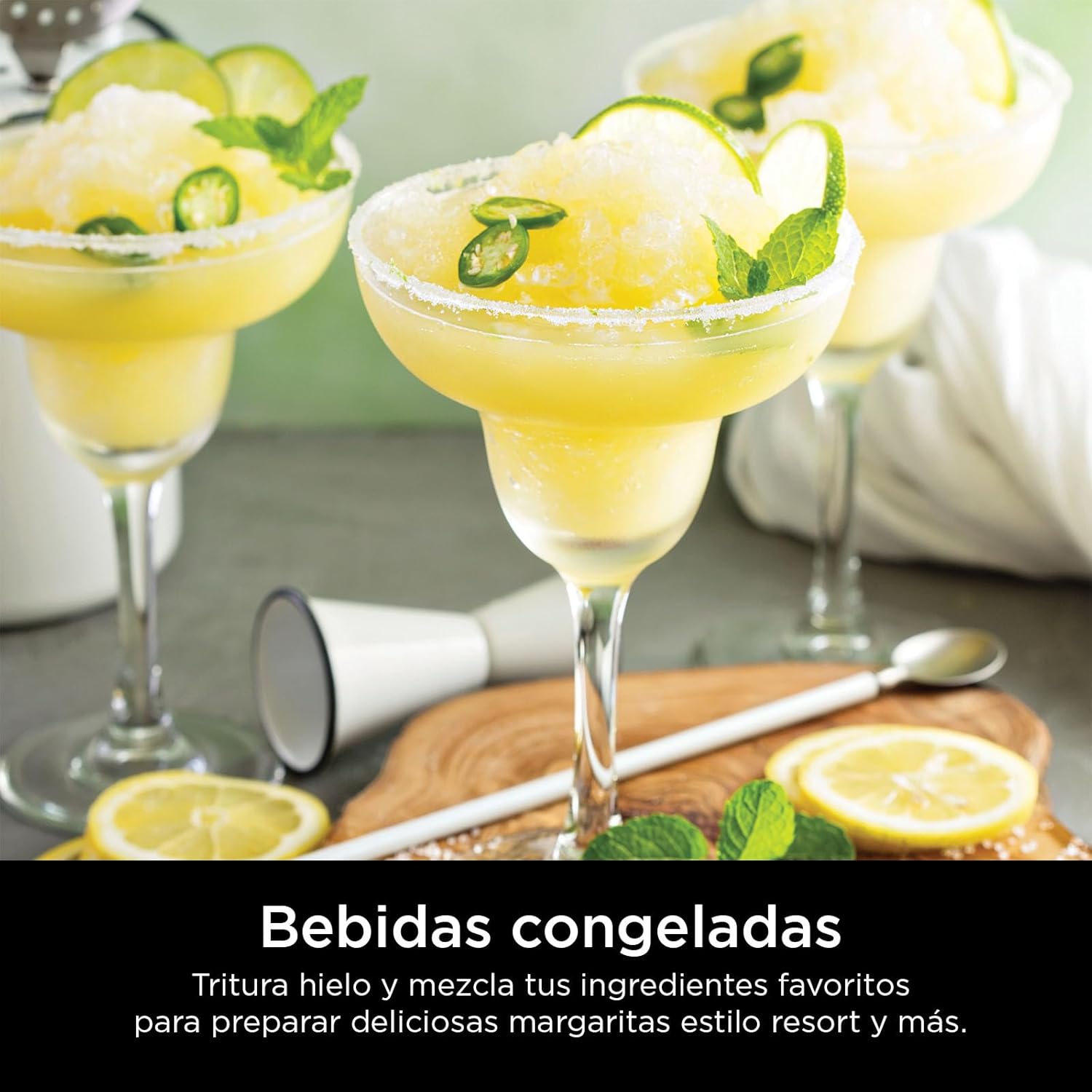 Euro-PRO Sales Company Professional Blender, 1000-Watt